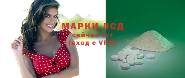 PSILOCYBIN Елизово
