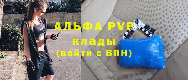 PSILOCYBIN Елизово