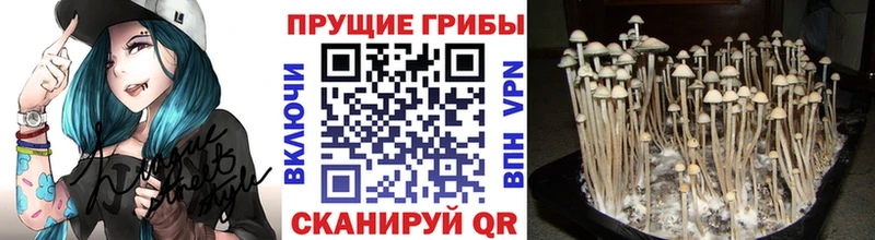 Галлюциногенные грибы прущие грибы  Находка 